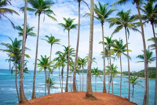 Rituale Guest House - Surf & Yoga Mirissa Exterior foto